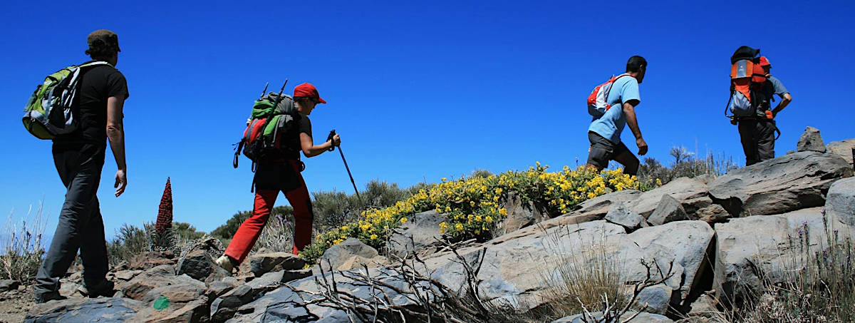 Tenerife hikers