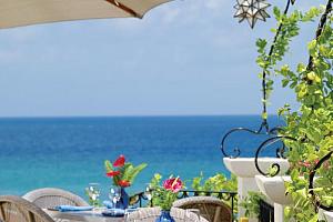 Cafe Luna restaurant