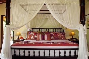 Honeymoon Suite
