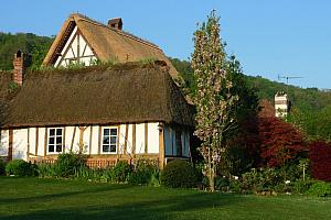 Thatched cottage hotel