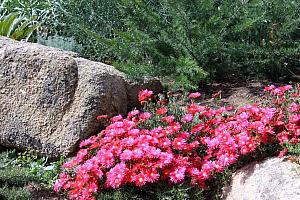 Garden, Corsican boutique hotel