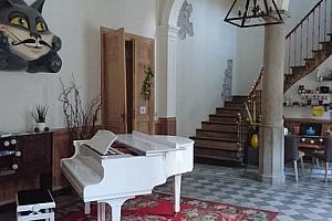 Hall, reception, grand piano