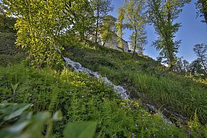 Slope down to the lake