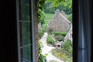 View of the garden