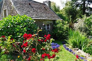 Verdant garden