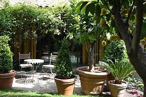 Jardins Secrets hotel, Nimes