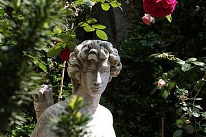Hotel, secret garden