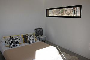 Window to wooded garden