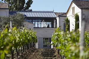 Vines