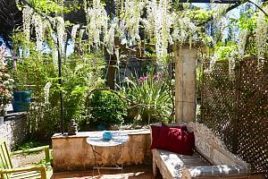 B&B garden, Saint Tropez