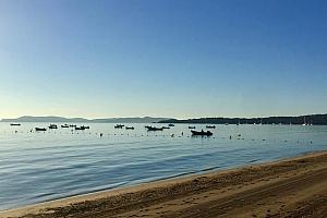 Beach, swimming area