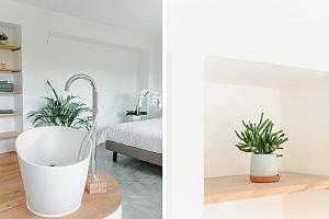 Bath tub in the room