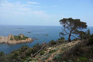 Island and sea
