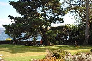 Garden with lawn and trees