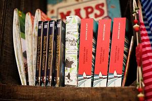 Swallows and Amazons