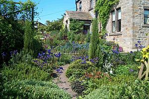 Cottage garden