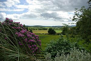 Galloway countryside