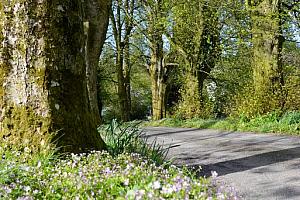 Dumfries and Galloway