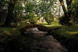Wooded grounds with a stream