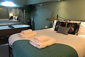 Garden Suite, dog friendly