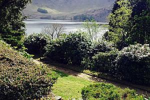 Garden, lake view