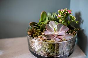 Decoration