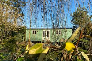 Shepherd's Hut, Holly Lodge