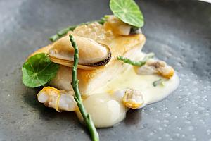 Fish and seafood