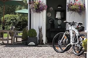 Mountain biking