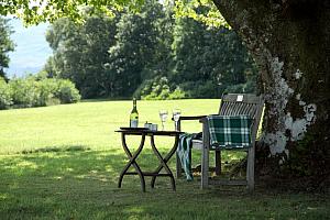 Hotel, lochside garden