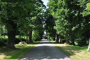 entrance drive, Maesmawr Hall