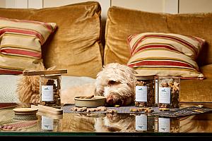 Pet-friendly luxury hotel