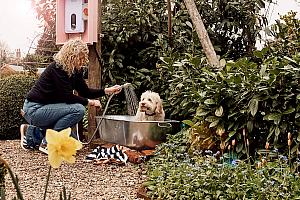 Pet shower