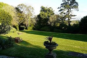 Trees and garden, hotel
