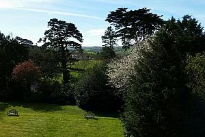 View from hotel