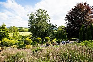 The Plough Inn, Llandeilo