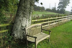 Garden, Poole Farm B&B