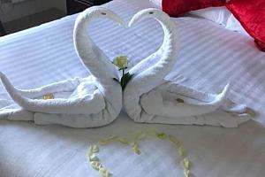 Swans