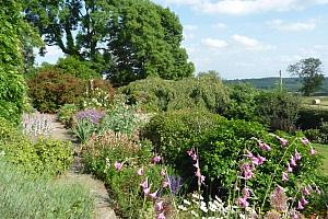 Garden and fields