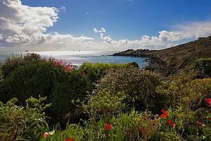 Cliffs near the Lizard