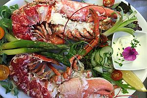 Local lobster, Coverack Cove