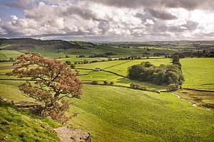 Yorkshire countryside