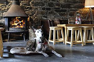 Bar, pub, Ty Mawr Hotel