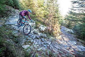 Coed y Brenin Mountain Bike Centre