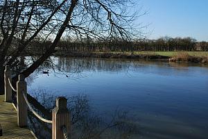 B&B, Stratford Upon Avon