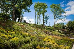 Pretty pub garden, mid Wales