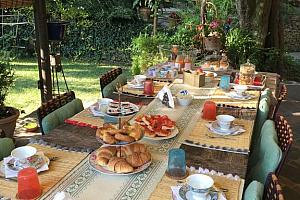 Eating in the garden