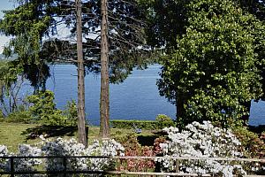 Hotel garden and lake