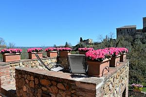 Rooftop terrace