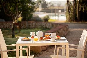 Breakfast in the garden